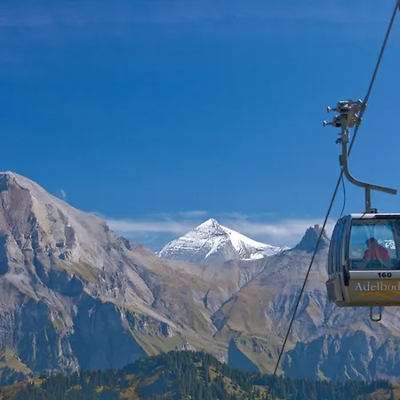 Appartement Ferienwohnung Im Chalet Alpenrose *